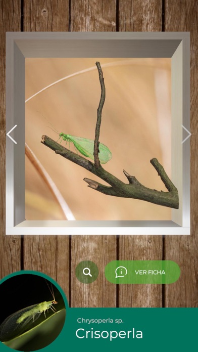 Insectarium Afipa AR Screenshot