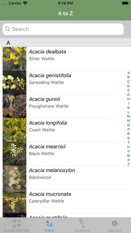 Flowering Plants of Tasmania