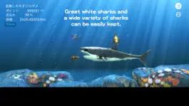 Game screenshot Great white shark breeding AR mod apk