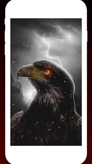 Birds Wallpapers HD Screenshot