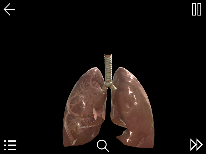 Non-Small-Cell Lung Cancer