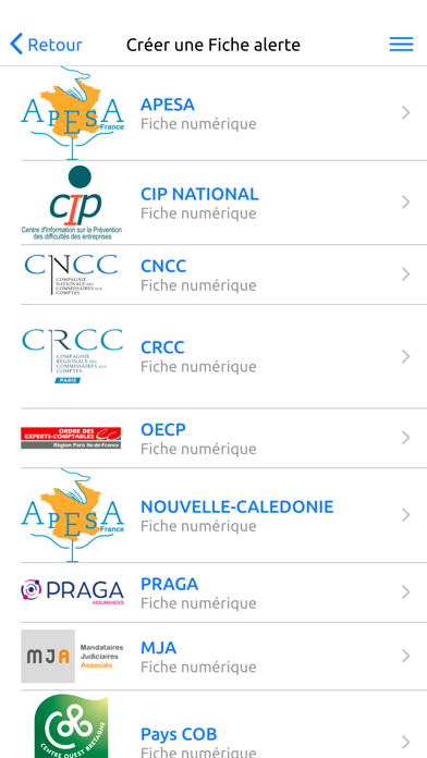 APESA France Screenshot