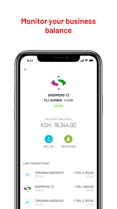 M-Pesa Business Tanzania Screenshot