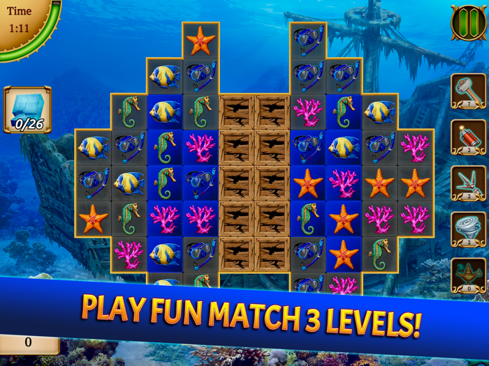 Mystery Society 3 Hidden Case