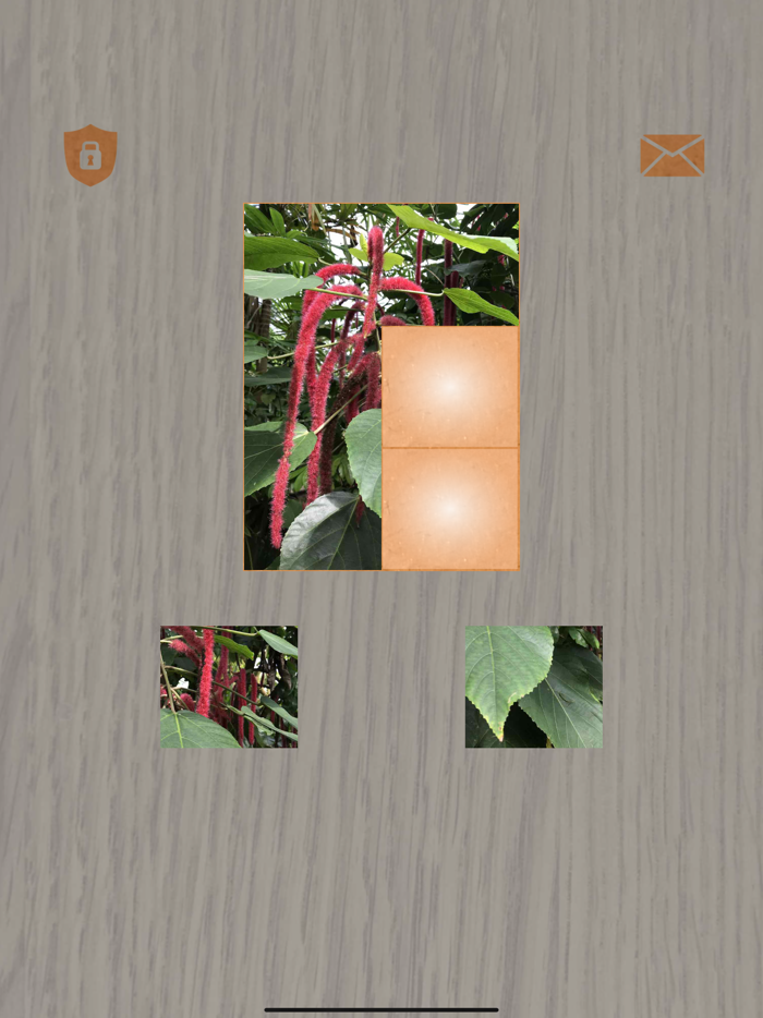 Plants Tiling Puzzles