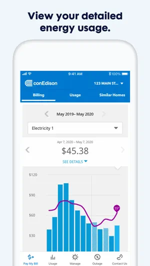 Con Edison screenshot 3