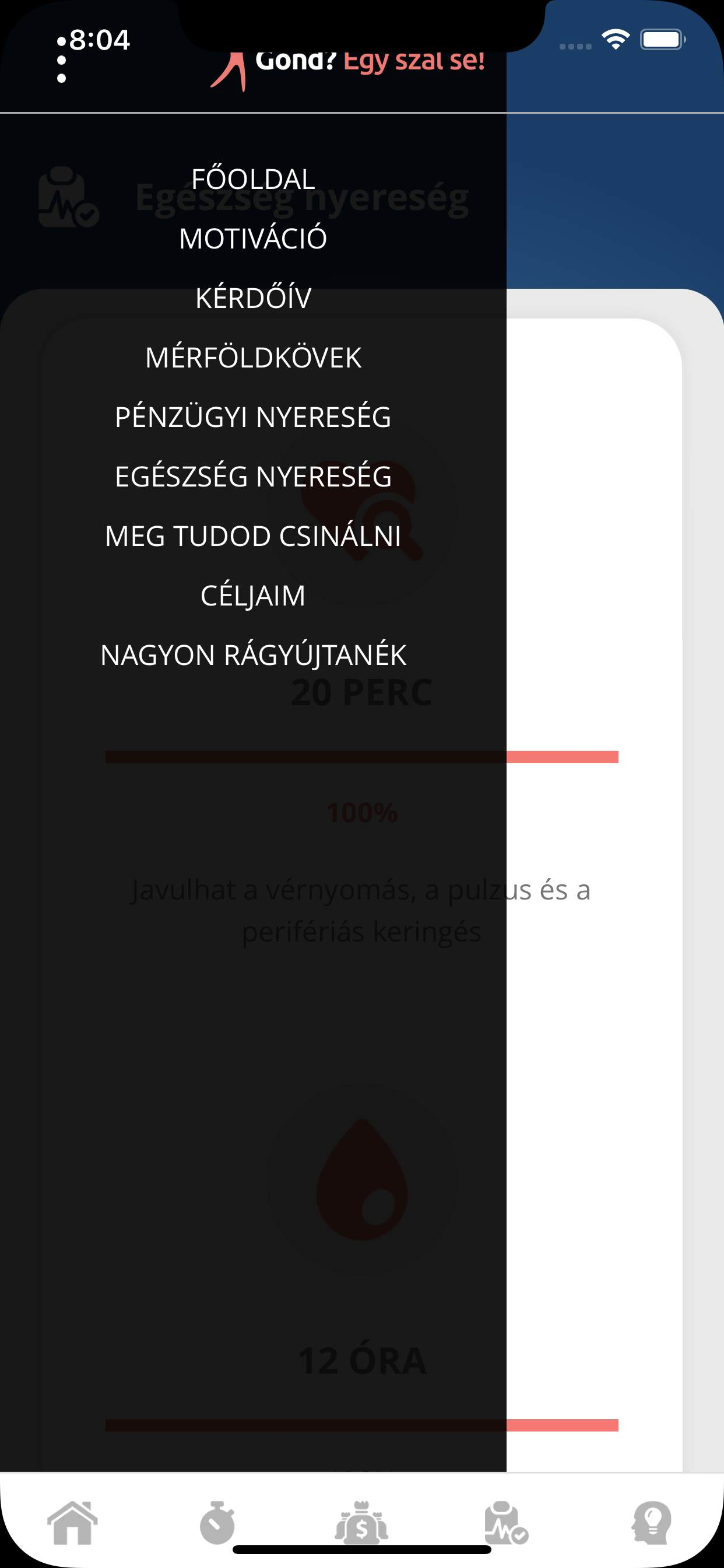 Gond Egy Szál Se