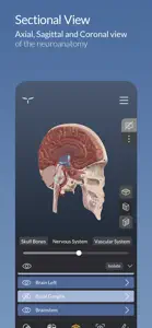 Head Atlas screenshot #3 for iPhone