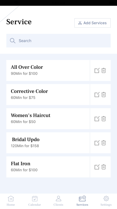 Salon Works Screenshot