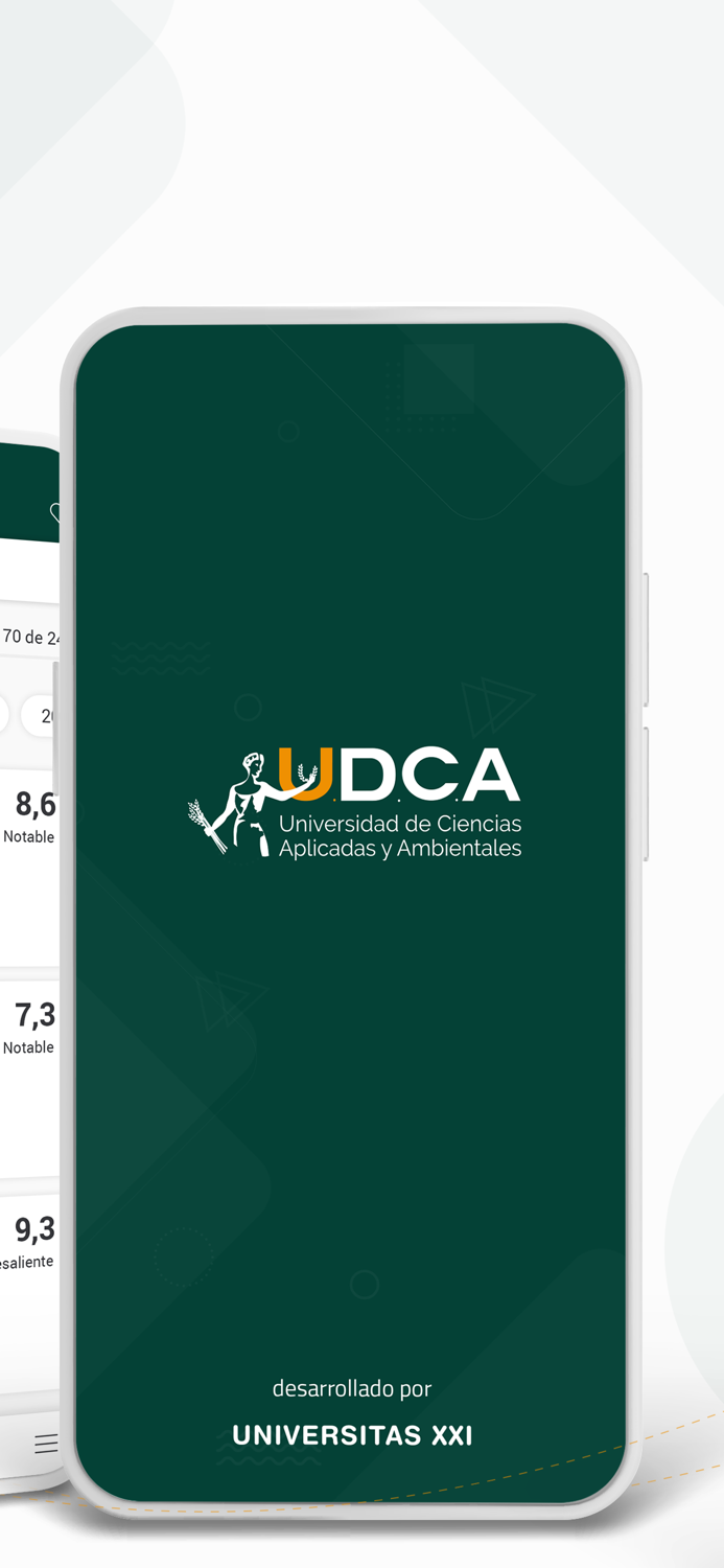 UDCA