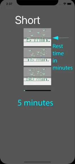 Game screenshot Nature Timer apk