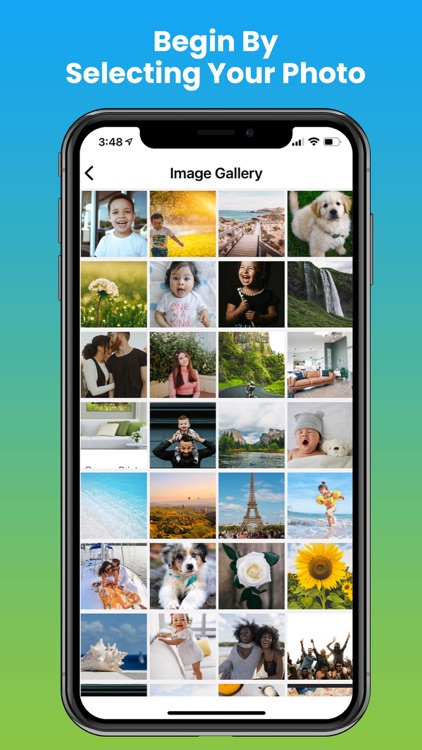 Canvas Prints: Custom Canvas