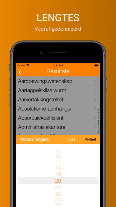 Blokkiesraaisel Woordeboek Screenshot