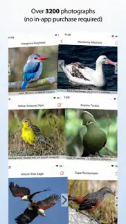 sasol ebirds southern africa iphone screenshot 4