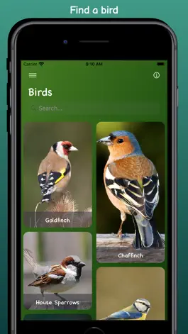 Game screenshot Bird Sounds - Pure Nature mod apk