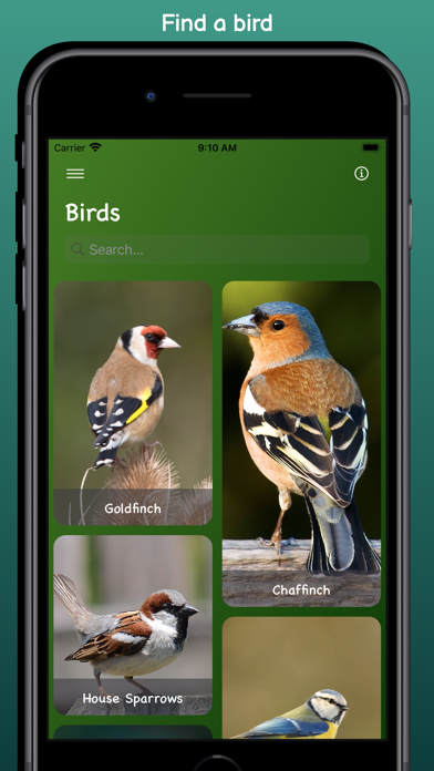 Bird Sounds - Pure Nature Screenshot