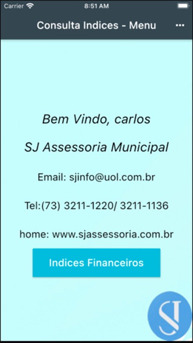 Screenshot #2 pour SJ Consulta Indices