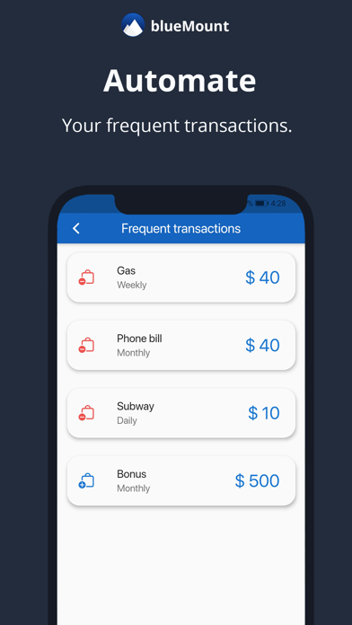 BlueMount - Money manager Screenshot