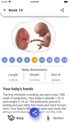 Game screenshot My Pregnancy Tracker apk