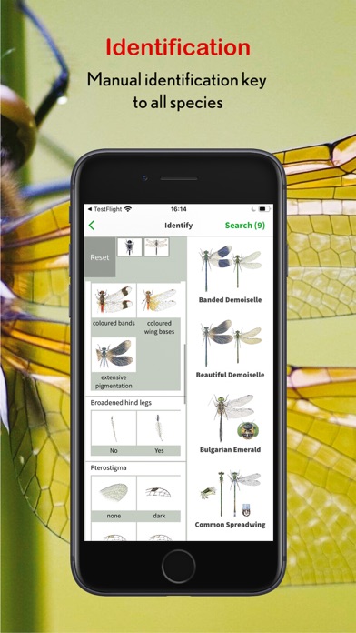 Dragonfly Id Britain & Europe Screenshot