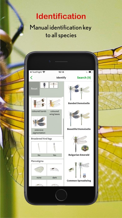 Screenshot #3 pour Dragonfly Id Britain & Europe