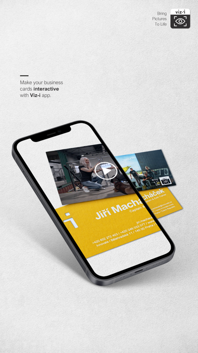Viz-i Screenshot