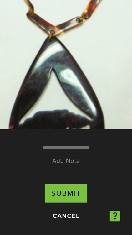 SEE Shell (by SeeTurtles.org)