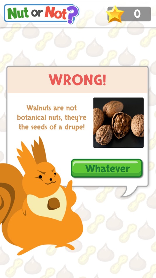 #2. Nut or Not? (iOS) 由: Firebolt Games