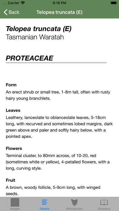 Flowering Plants of Tasmania Screenshot