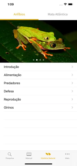 Game screenshot Anfíbios da Mata Atlântica apk