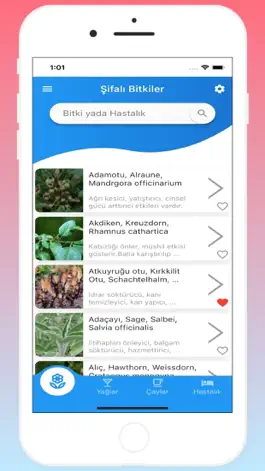 Game screenshot Şifalı Bitkiler (İnternetsiz) mod apk