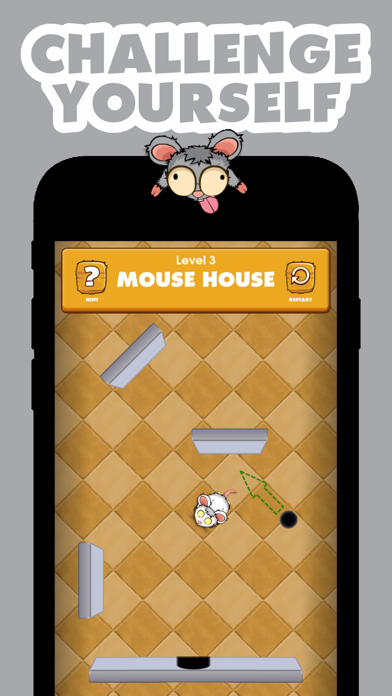 Mouse House: Simple Angles Fun Screenshot