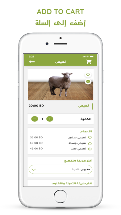 حقول الربيع Screenshot