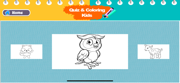 Quiz and Coloring book