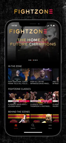Game screenshot Fightzone TV apk