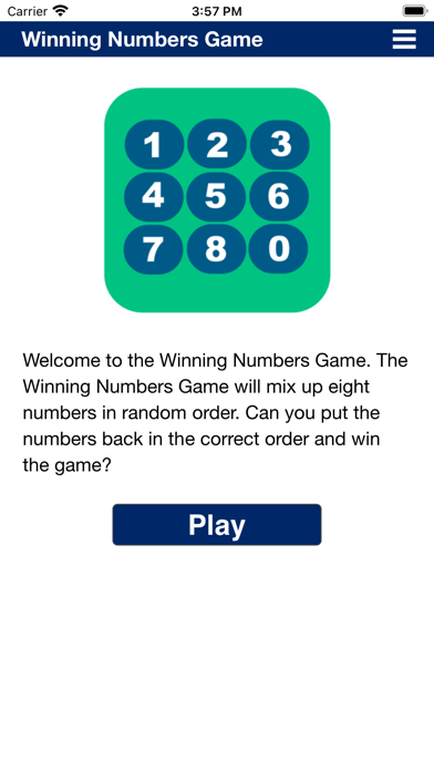 Winning Numbers Game Screenshot
