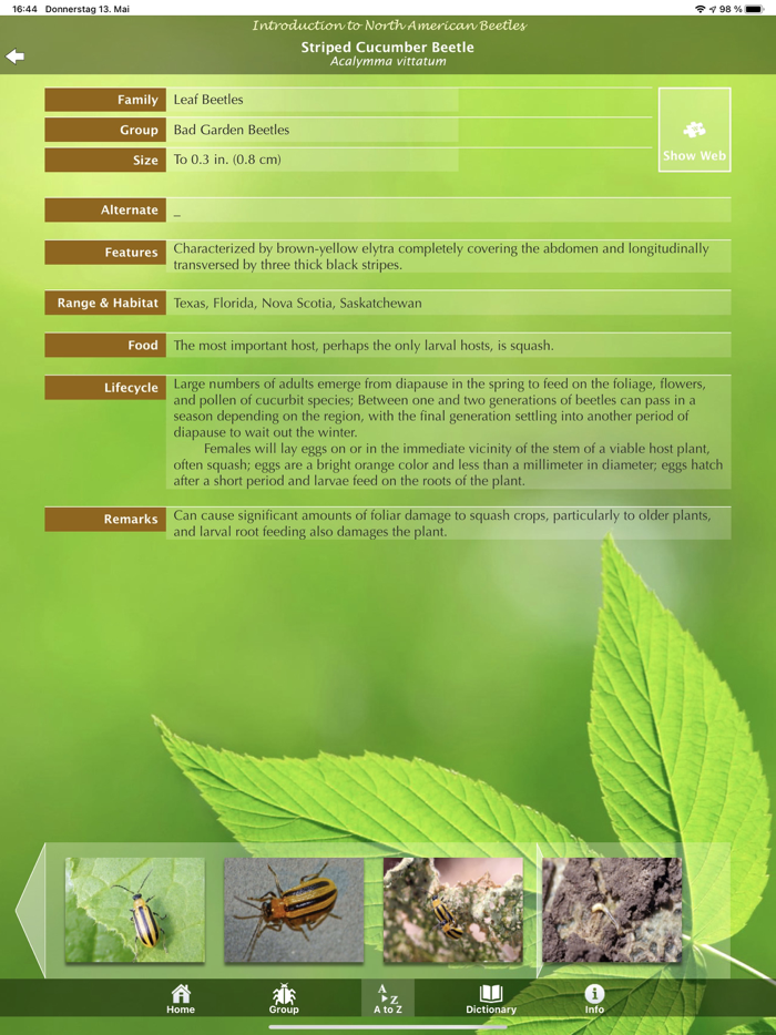 North American Beetles