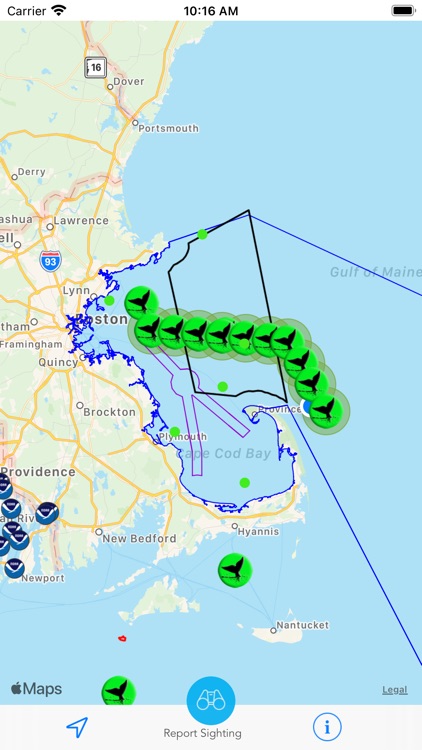 Whale Alert