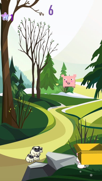 Catch the jumping animals