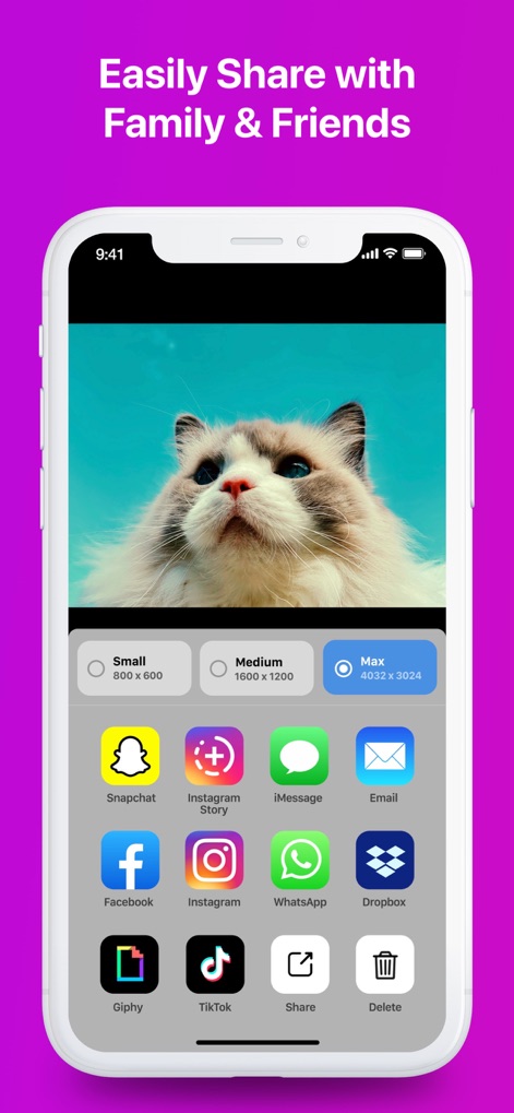 Infltr - Infinite Filters - Die App bietet umfangreiche Freigabeoptionen für Plattformen wie Instagram und TikTok, unterstützt durch die Wahl der Exportauflösung wie "Max".