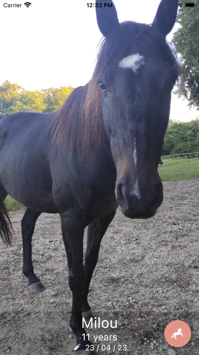 Horse Liberty Screenshot