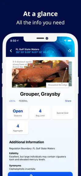 Game screenshot Fish Rules: Fishing App hack