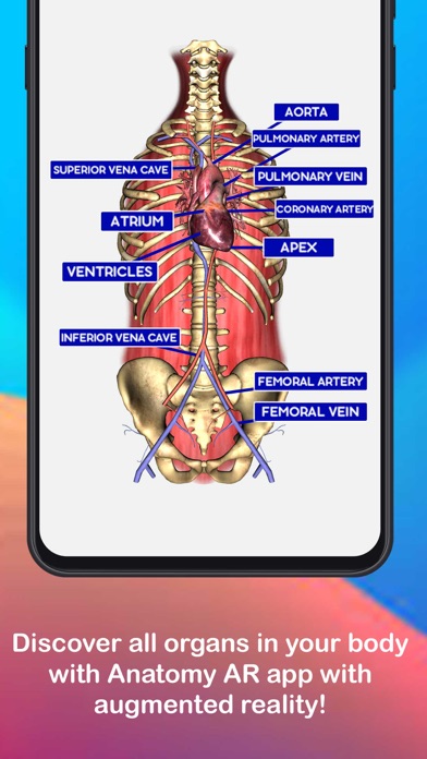 Anatomy AR 4D -Virtual T-Shirt Screenshot