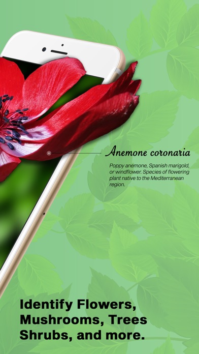 PlantIDer - Plant Identifier Screenshot