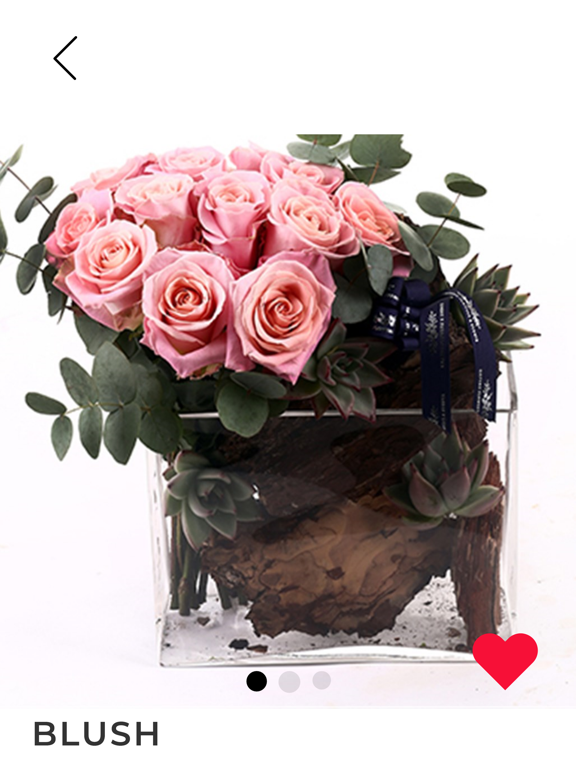 Gazebo Flowers iPad screenshot 3 - Shopping app