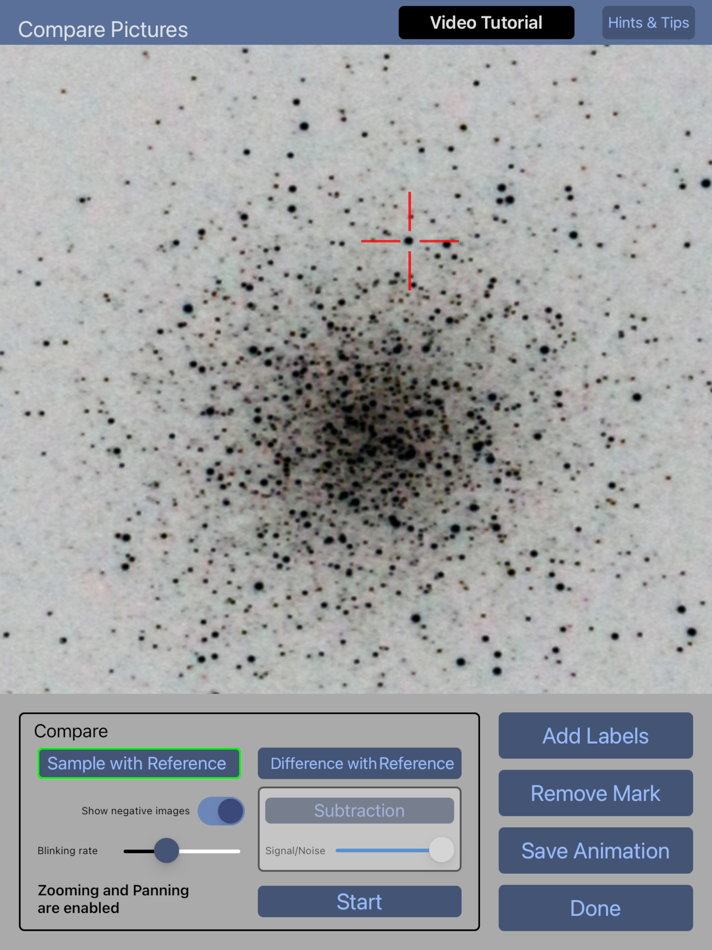 #3. Stars Blinker (iOS) 由: Roberto De Lorenzo