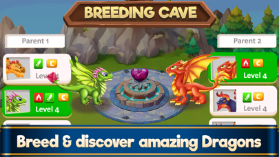 Dragon Paradise City Screenshot