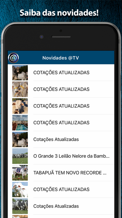 TV Arroba Screenshot