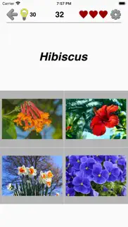 flowers quiz - identify plants iphone screenshot 4