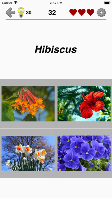 Flowers Quiz - Identify Plants Screenshot
